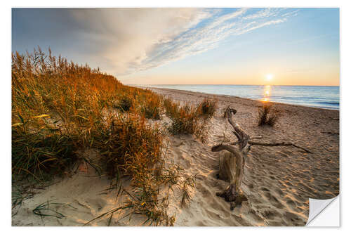 Selvklæbende plakat Sunset at Darss West Beach