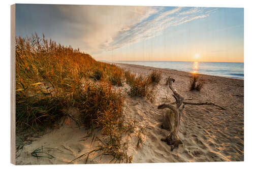 Trätavla Sunset at Darss West Beach