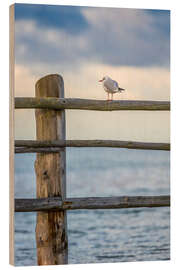 Cuadro de madera Onlooker by the sea