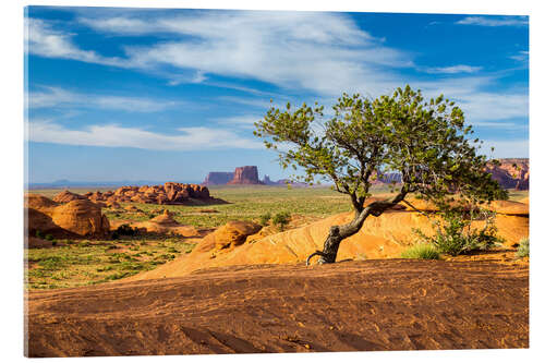 Obraz na szkle akrylowym Afternoon sun over Mystery Valley, Arizona