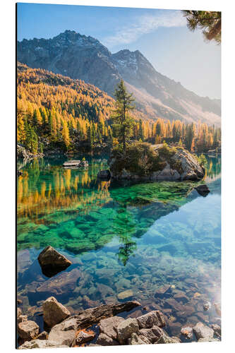 Aluminiumtavla Island with larch in mountain lake, Poschiavo