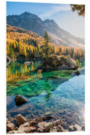 Foam board print Island with larch in mountain lake, Poschiavo