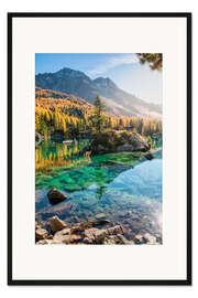 Gerahmter Kunstdruck Insel mit Lärche in Bergsee, Puschlav