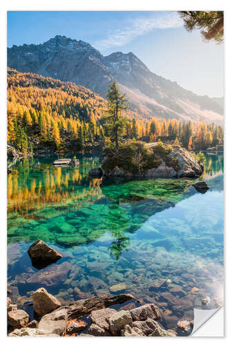 Naklejka na ścianę Island with larch in mountain lake, Poschiavo