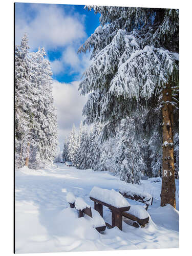 Alubild Winter im Thüringer Wald am Rennsteig