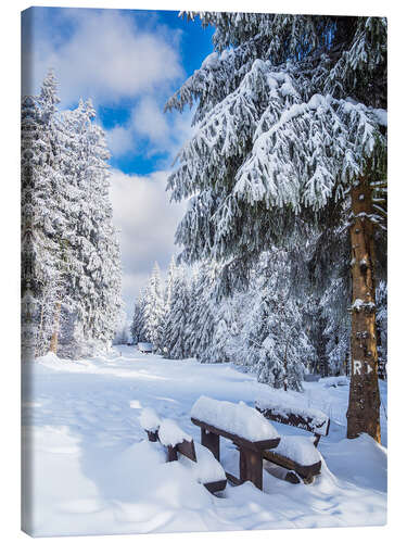 Tableau sur toile Winter in the Thuringian Forest on the Rennsteig