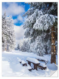 Selvklebende plakat Winter in the Thuringian Forest on the Rennsteig