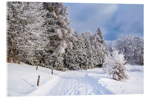 Acrylic print Winter in the Thuringian Forest