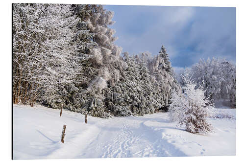 Tableau en aluminium Winter in the Thuringian Forest