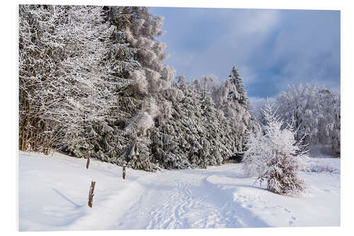 Foam board print Winter in the Thuringian Forest