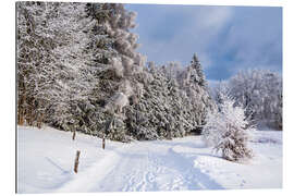 Gallery print Winter in the Thuringian Forest