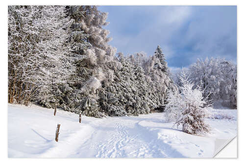 Wall sticker Winter in the Thuringian Forest