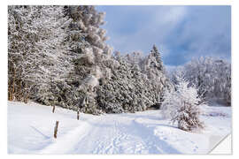 Adesivo murale Winter in the Thuringian Forest