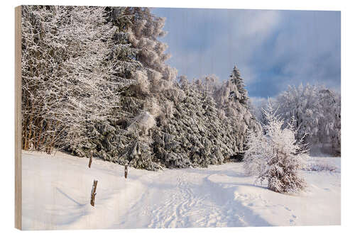 Trätavla Winter in the Thuringian Forest