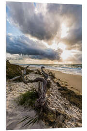 PVC print Darss West Beach on the Baltic Sea