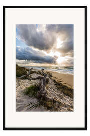 Gerahmter Kunstdruck Darßer Weststrand an der Ostsee