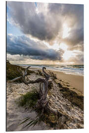 Magnettafel Darßer Weststrand an der Ostsee