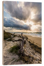 Holzbild Darßer Weststrand an der Ostsee