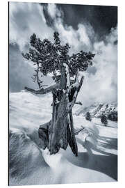 Tableau en aluminium Ötztal Alps