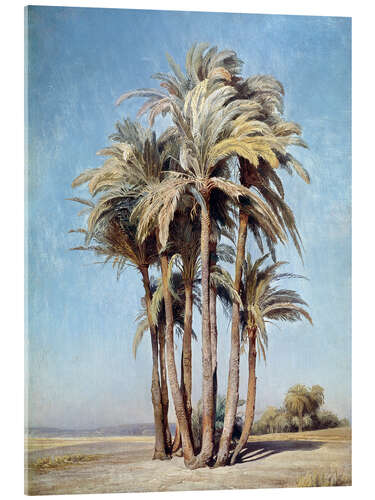 Acrylic print Palm trees