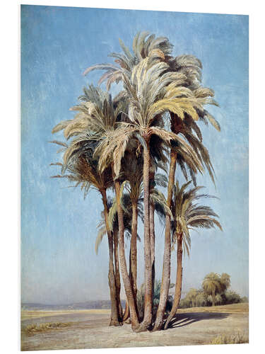 PVC-tavla Palm trees