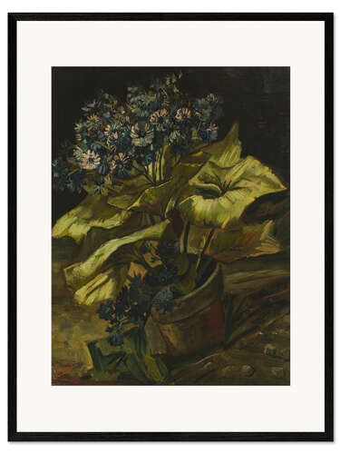 Impression artistique encadrée Cineraria