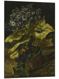 Magnettafel Cineraria