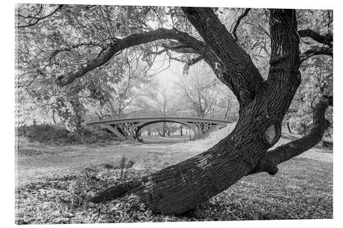 Stampa su vetro acrilico Historic New York: Romantic Bridge in Central Park, 1933