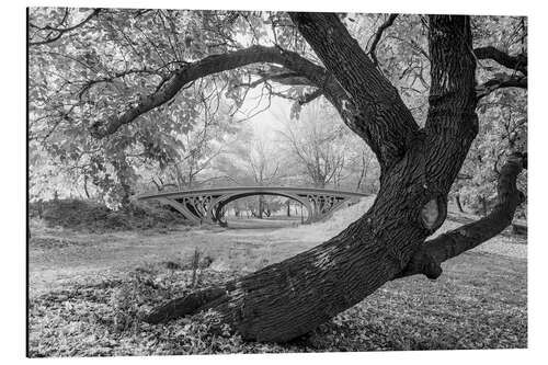 Stampa su alluminio Historic New York: Romantic Bridge in Central Park, 1933