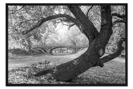 Gerahmter Kunstdruck Historisches New York: Romantische Brücke in Central Park, 1933
