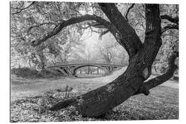 Stampa su plexi-alluminio Historic New York: Romantic Bridge in Central Park, 1933