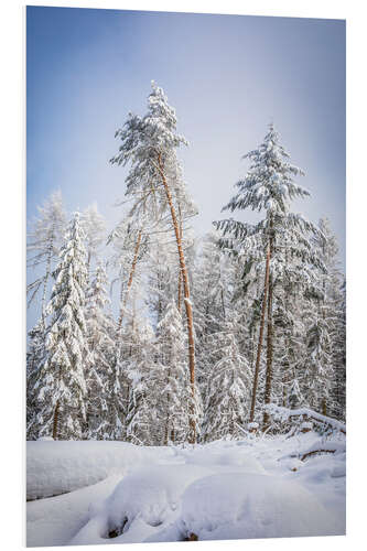 Hartschaumbild Verschneiter Winterwald im Naturpark Rheingau Taunus