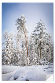 Wall sticker Snowy winter forest in the Rheingau Taunus nature park