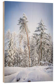 Print på træ Snowy winter forest in the Rheingau Taunus nature park