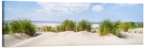 Canvastavla Beach panorama with dunes and beach grass