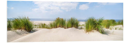 Foam board print Beach panorama with dunes and beach grass