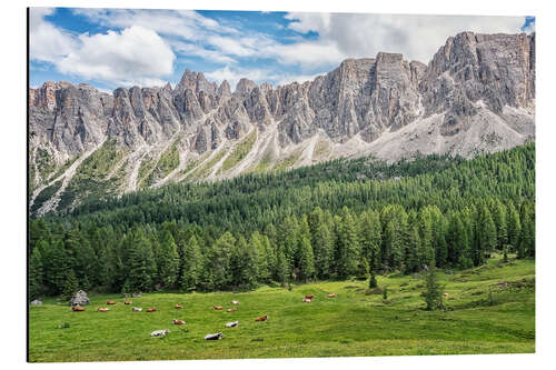 Aluminiumtavla Italian Alps