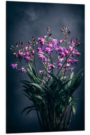 Aluminium print Dendrobium Berry Oda