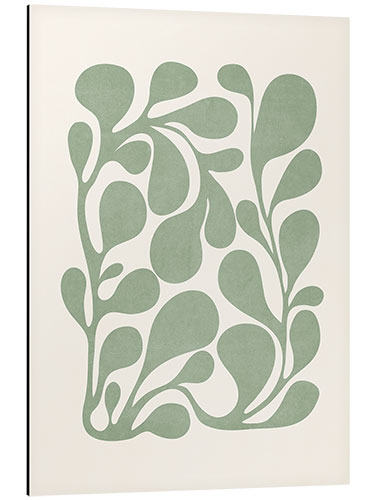 Aluminium print Sage green plant