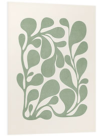 Foam board print Sage green plant