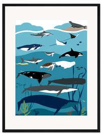 Gerahmter Kunstdruck Leben im Mittelmeer