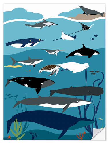 Sticker mural Mediterranean Sea Life