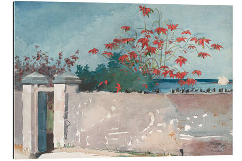 Gallery print A Wall, Nassau, 1898