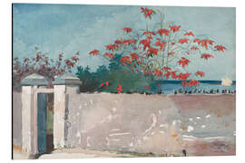 Magnettafel Eine Wand, Nassau, 1898