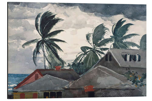 Cuadro de aluminio Hurricane, Bahamas, 1898