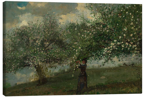 Stampa su tela Girl Picking Apple Blossoms, 1879