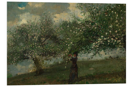 Foam board print Girl Picking Apple Blossoms, 1879