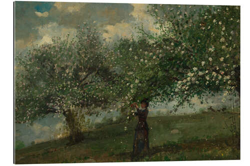 Gallery print Girl Picking Apple Blossoms, 1879