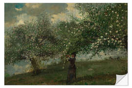 Vinilo para la pared Girl Picking Apple Blossoms, 1879