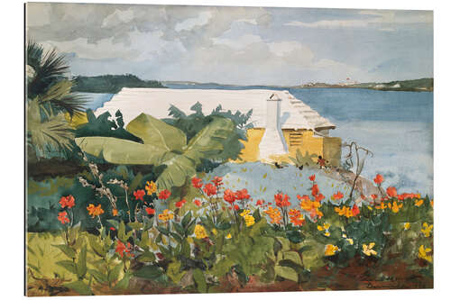 Gallery print Flower Garden and Bungalow, Bermuda, 1899